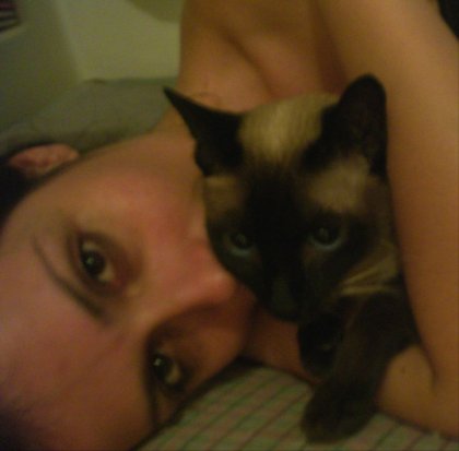 felinodelia-victoria