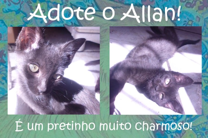 Allan para adoção