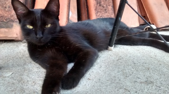 img_20151204_185720394_hdr