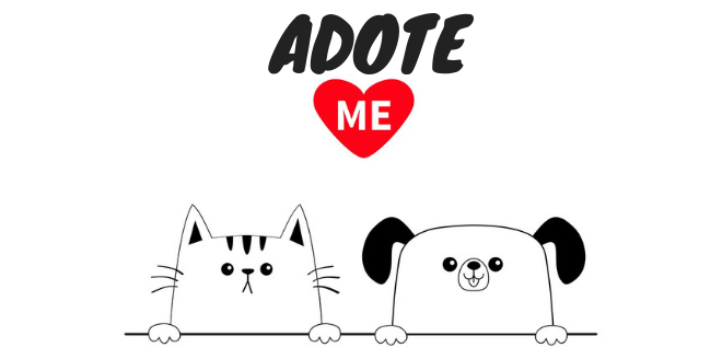 agenda de eventos de adoção nacional