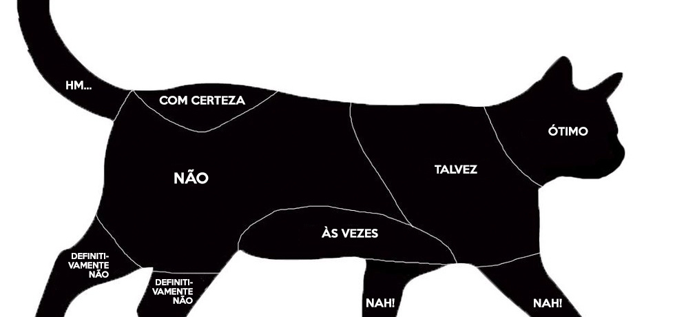 como acariciar um gato