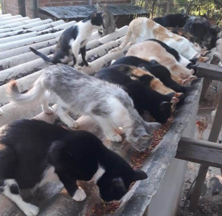 Projeto Vida recebe apoio de Butique Sensual