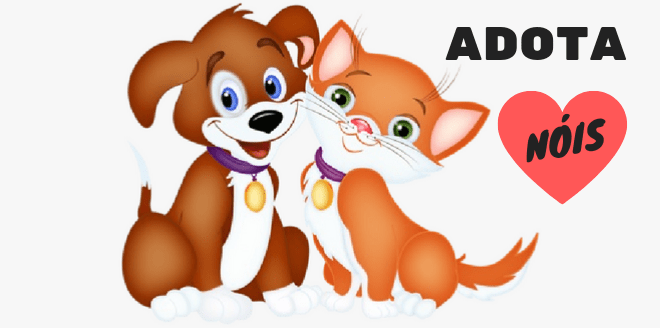 agenda eventos de adoção outubro