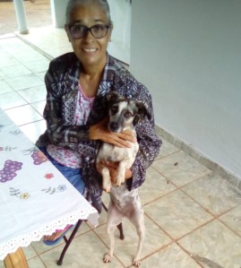 Adoção de animais na terceira idade