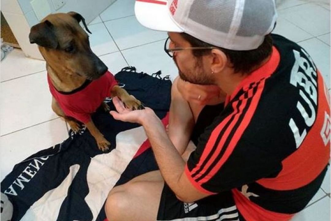 torcedor rifa ingresso para salvar cachorro