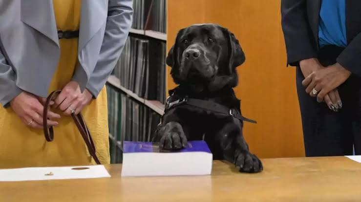 hatty dá conforto a vitimas de agressão sexual