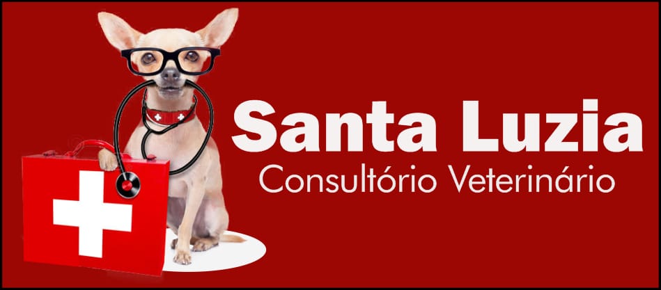 CONSULTORIO SANTA LUZIA