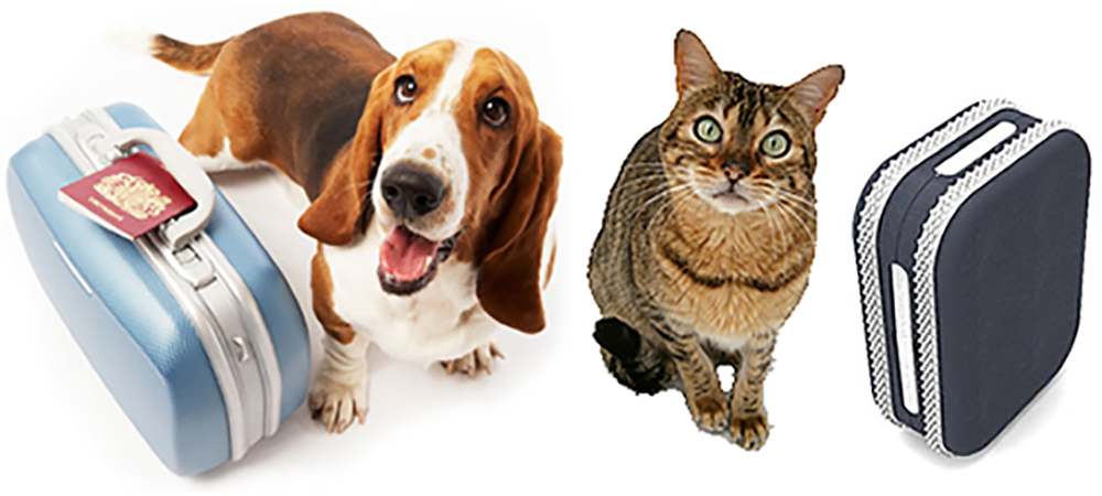 quer levar o pet pro Canadá