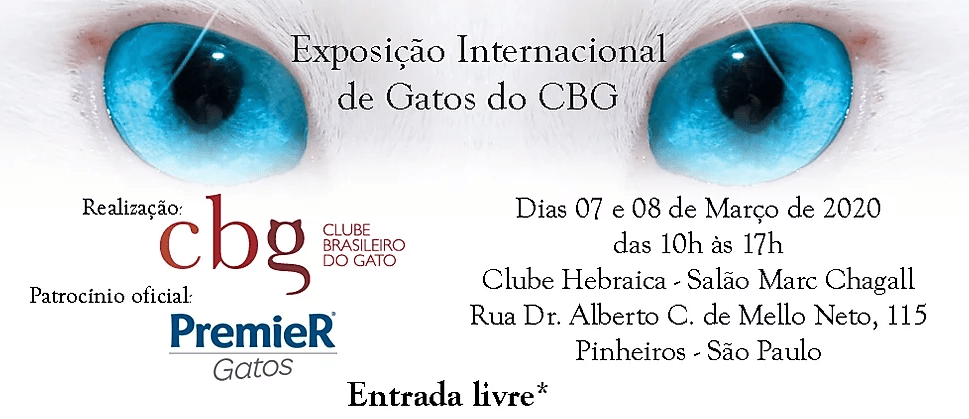 exposicao-clube-do-gato