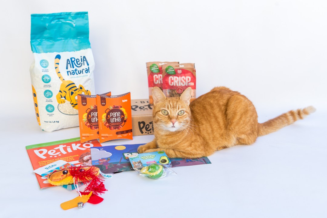 box-petiko-festa-junina-para-gatos