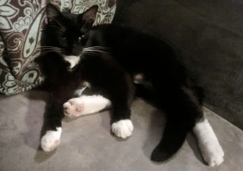 bob-volta-paraca-casa-depois-de-10-anos