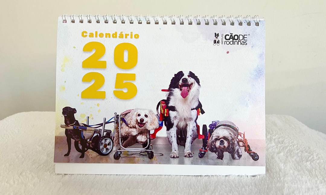 Calendario-2025-cao-de-rodinhas